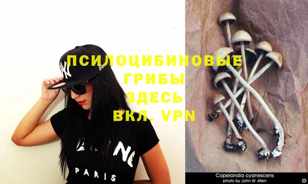круглые Абинск