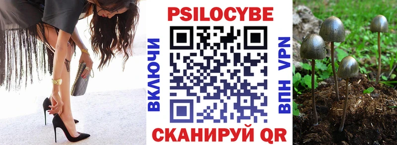 Галлюциногенные грибы Psilocybe Нижнекамск