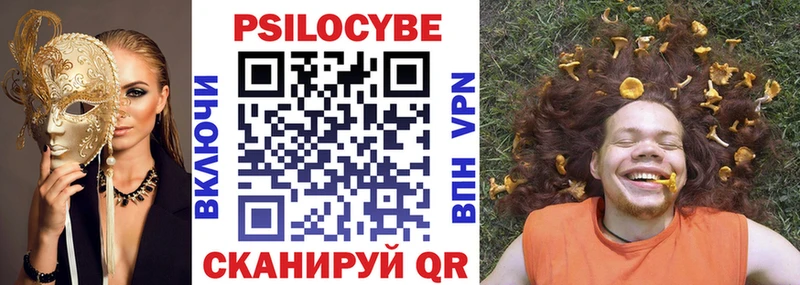 что такое   Нижнекамск  Галлюциногенные грибы мицелий 
